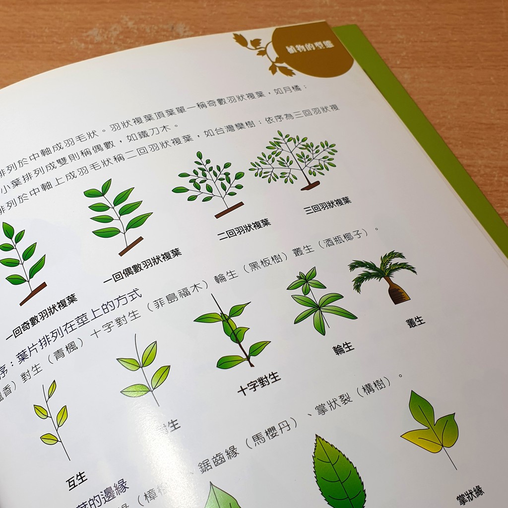 中鋼自然教育植物解說手冊高雄小港區 現貨 蝦皮購物