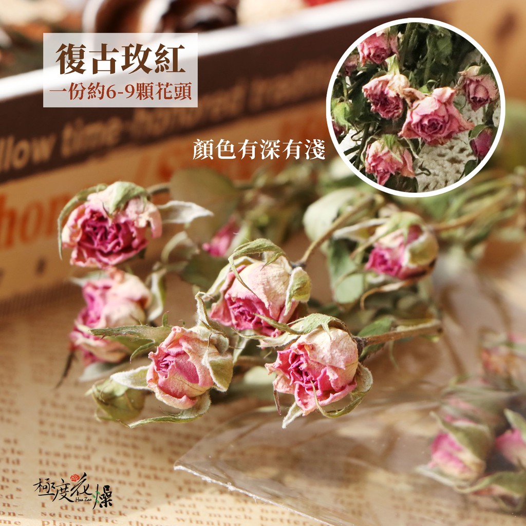 萬年紅和迷你玫瑰實拍圖 極度花燥 薔薇玫瑰花乾燥花不凋花永生花花材手作花束情人節萬聖節聖誕節 蝦皮購物