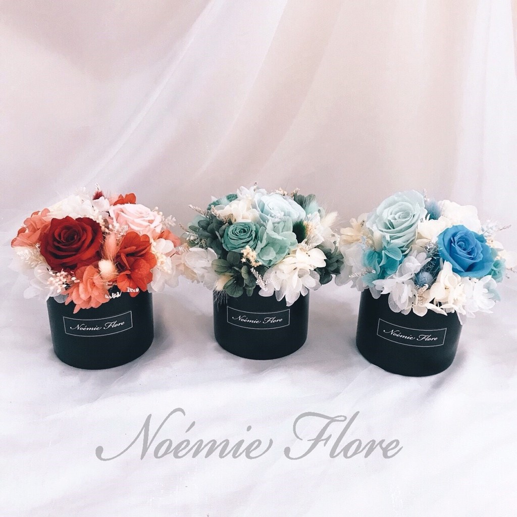 Noémie盆花系列【圓舞曲永生花盆花】 /乾燥花／盆栽／禮物 / 辦公室擺設 / 盆花 /永生花 /不凋花