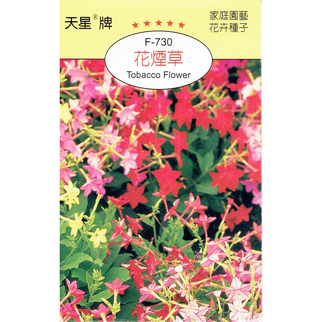 尋花趣 花煙草(Tobacco Flower)【花卉種子】 天星牌 小包裝種子