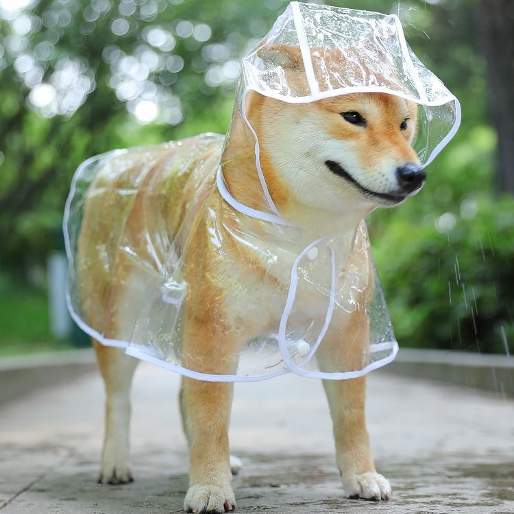 萌寵小屋 狗狗雨衣大型犬透明雨衣狗狗雨披中小型犬狗狗衣服中型犬雨衣狗雨衣鬥篷雨衣 蝦皮購物