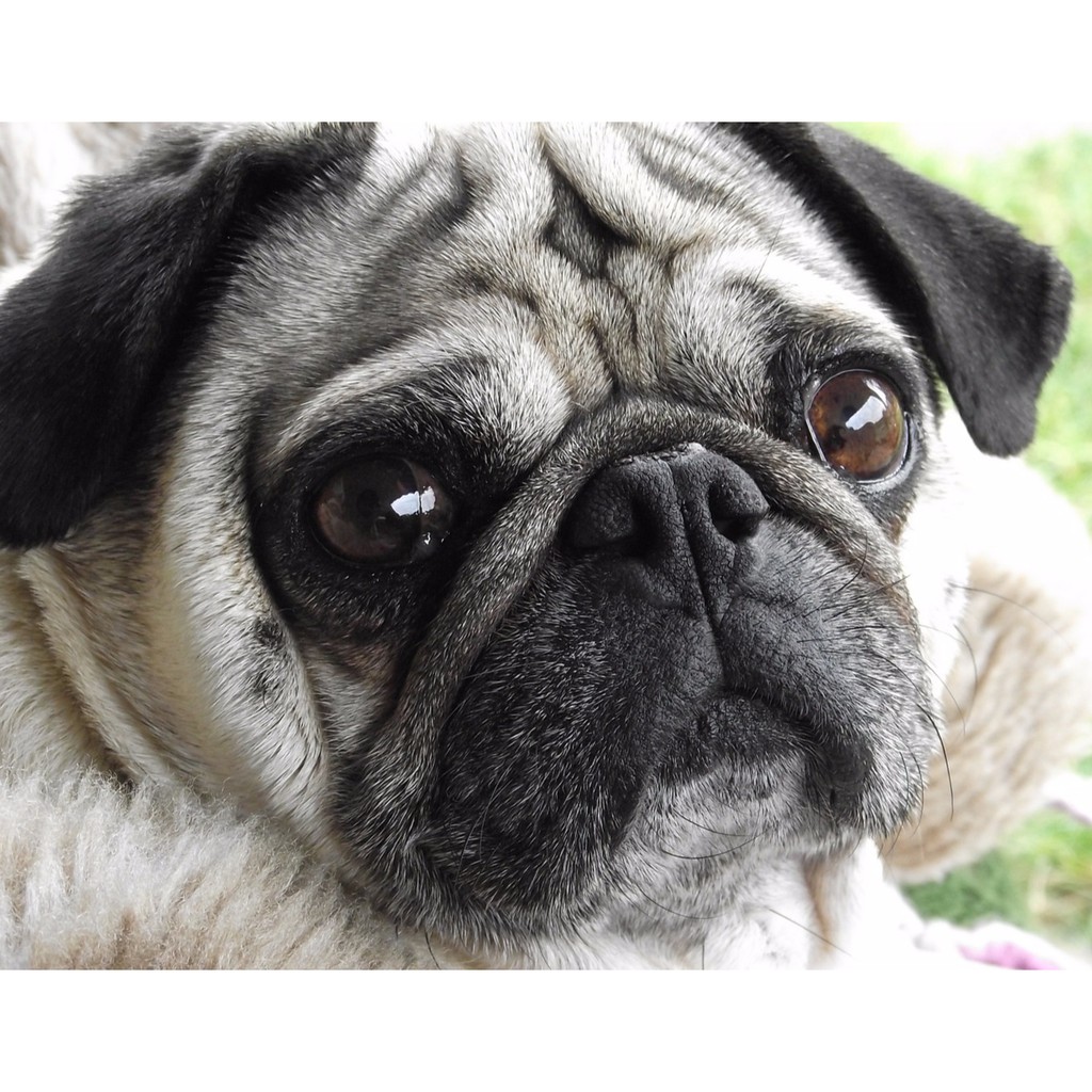 Tdc 家電e Books Usb 金屬4吋風扇輕巧風力強 K11 全新供應 蝦皮購物