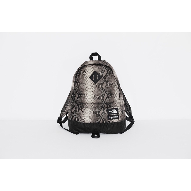 【area0439】Supreme North Face TNF Snakeskin Backpack 蛇紋 後背包