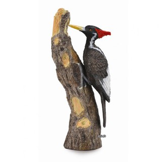COLLECTA動物模型 - 象牙喙啄木鳥 < JOYBUS >