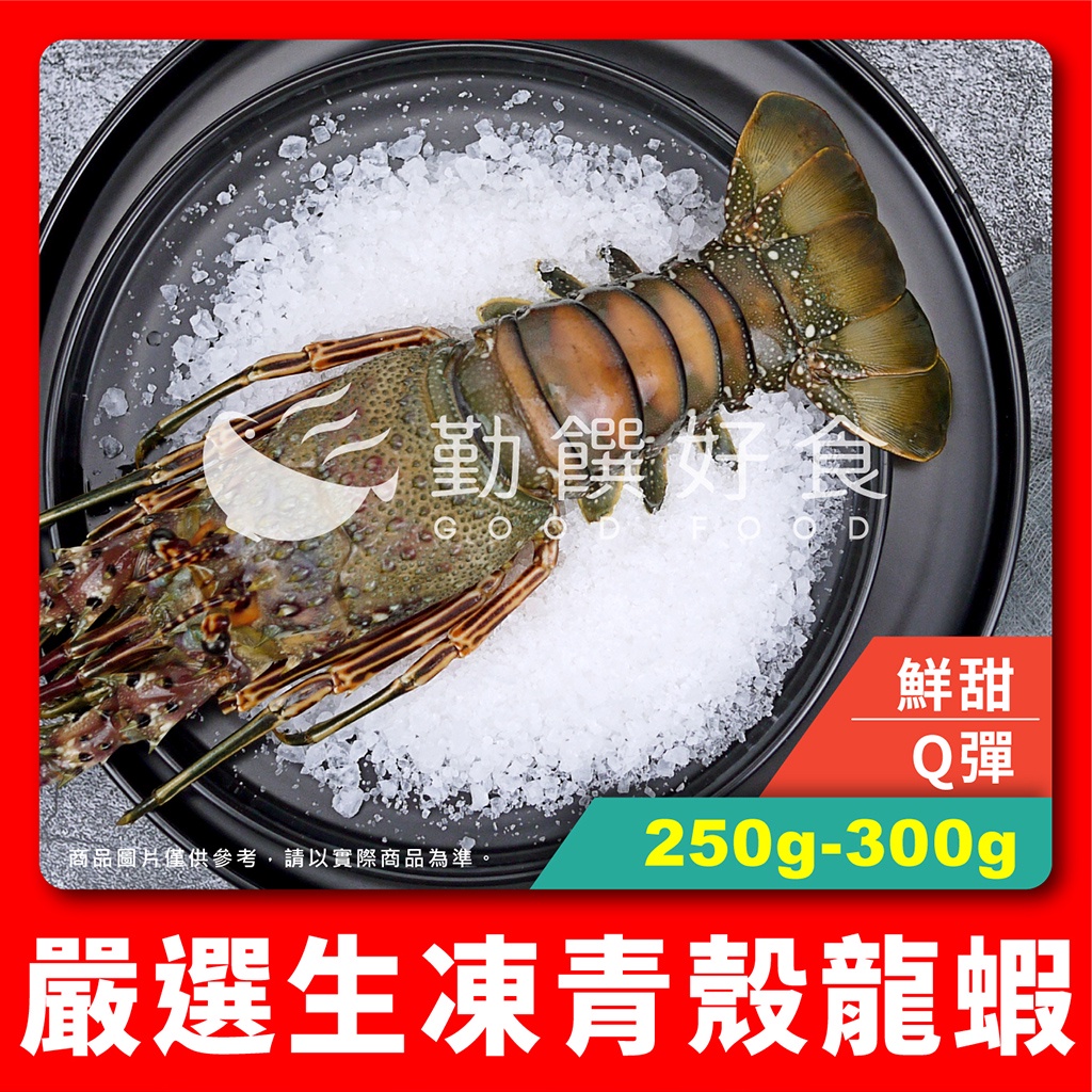 【勤饌好食】生凍 青殼 龍蝦 (250g-300g±10%/尾)附發票 冷凍 龍蝦 生龍蝦 野生龍蝦 海鮮 S4C12