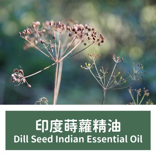 【馥靖精油】印度蒔蘿精油 Dill Seed Indian Essential Oil