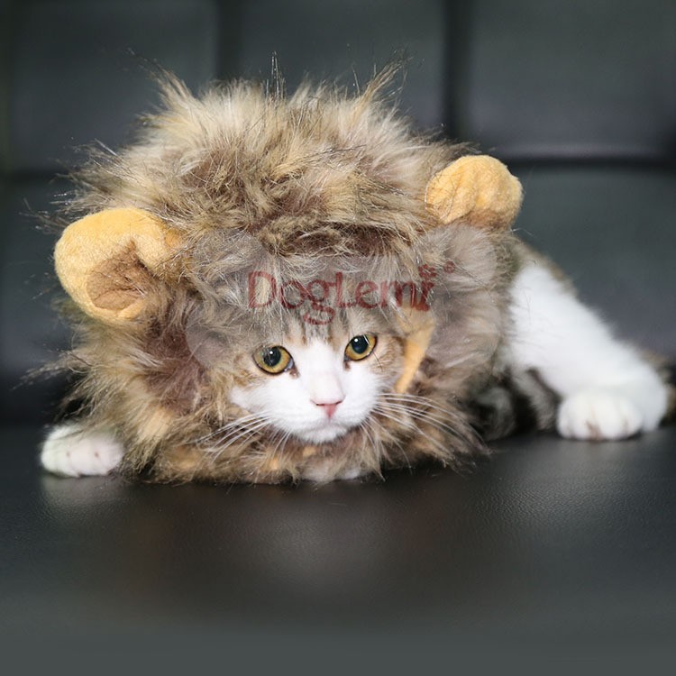 獅子頭套 貓咪 貓咪頭套 超可愛 寵物 變裝飾品 頭套 貓狗 現貨 特價299元熊熊寵物精品