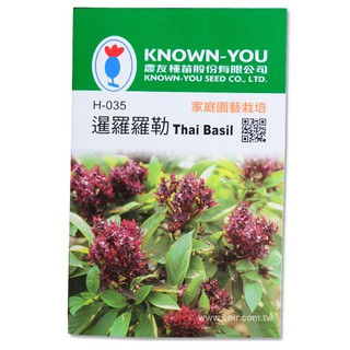 【全館590免運】暹羅羅勒種子~Thai Basil-約100粒
