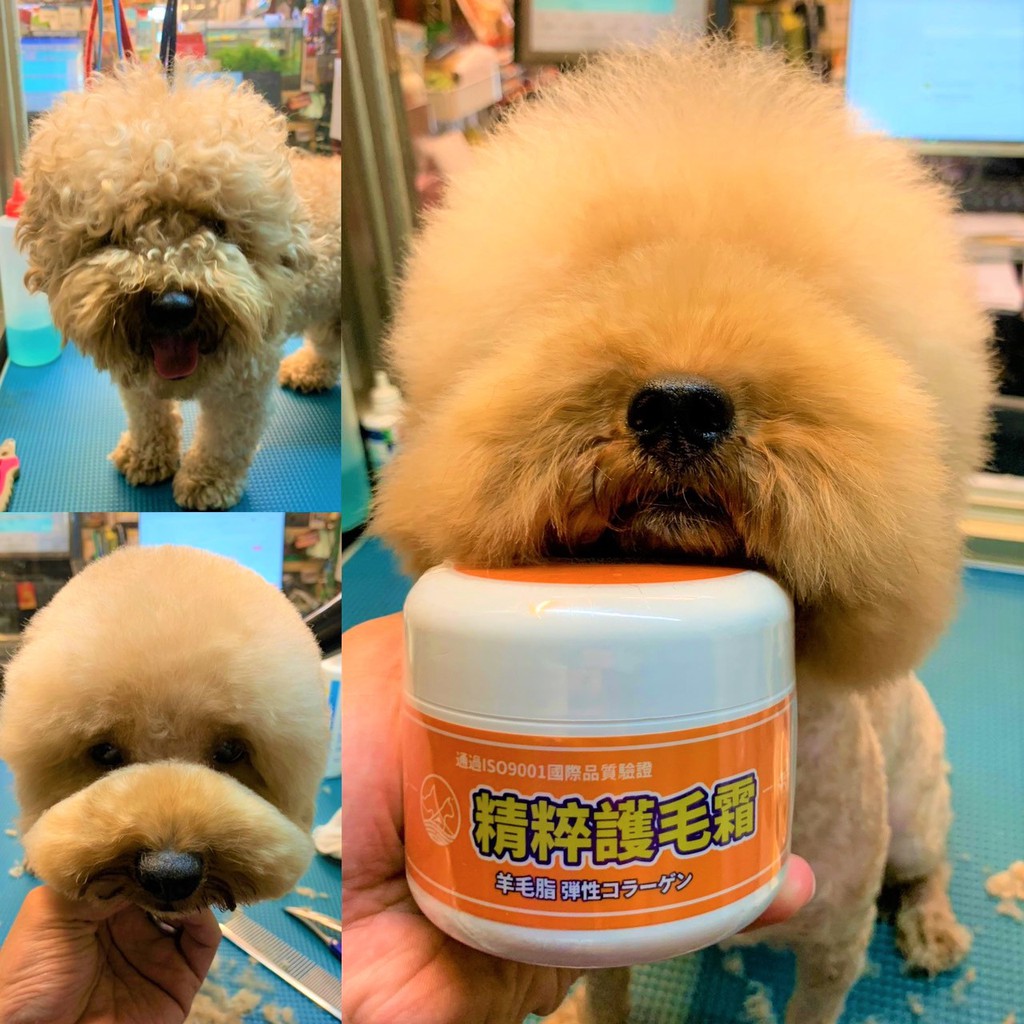 美容室罐 妤珈寵物店 源杏精粹護毛霜0ml 罐寵物專用護毛乳清香保養柔順好梳理毛髮寵物美容師推薦 蝦皮購物