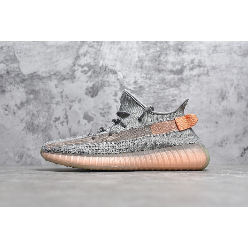 adidas Yeezy Boost 350 V2 True Form Facebook
