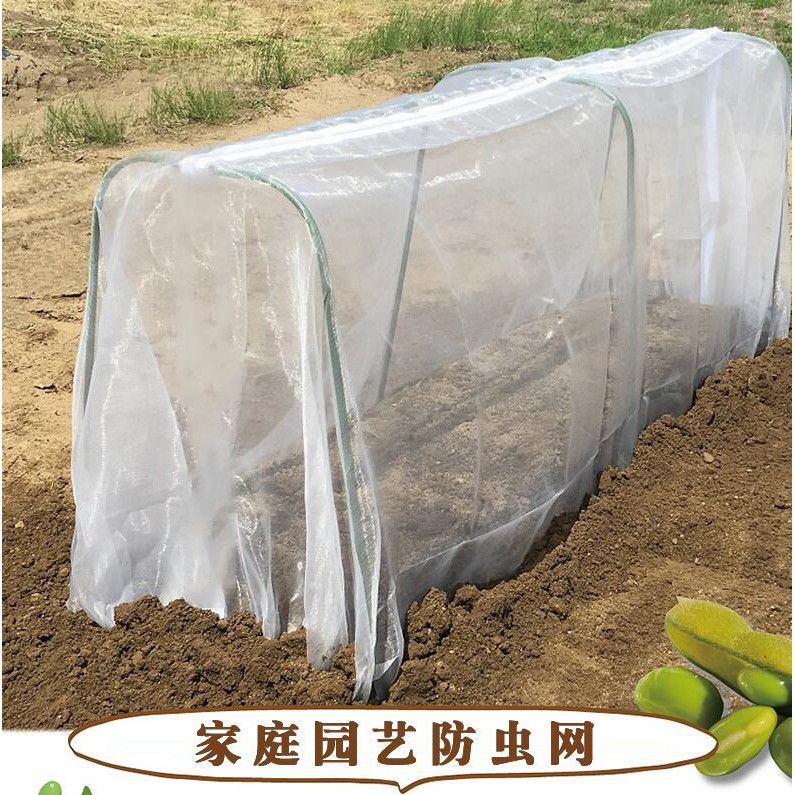好萊屋 家用防蟲網大棚種菜果樹蔬菜庭院網菜地花盆防鳥網60目菜園鳥 蝦皮購物