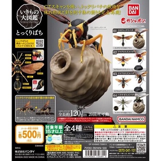 𓅓MOCHO𓅓 現貨 BANDAI 扭蛋 細腰蜂 德利蜂 蜾蠃環保扭蛋 全4種 單售