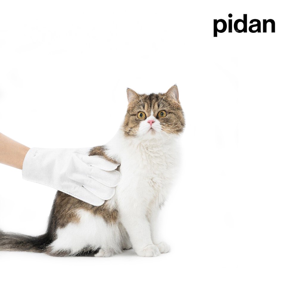pidan 手套濕巾 手指濕巾 0酒精 0香精 RO純水 隨時潔淨 想擦哪裡擦哪裡 寵物濕巾 寵物清潔