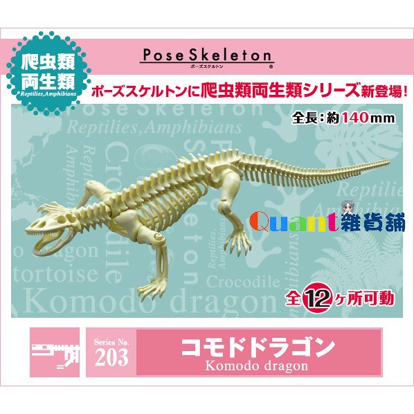 ∮Quant雜貨舖∮┌日本盒玩┐RE-MENT 骷髏 Pose Skeleton 兩棲爬蟲類 NO.203 科摩多巨蜥