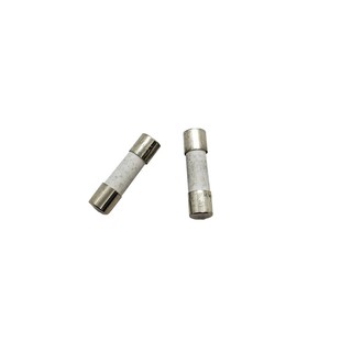 <壹點三>> 20mm 陶瓷保險絲(1入) 2cm 250V 保險絲