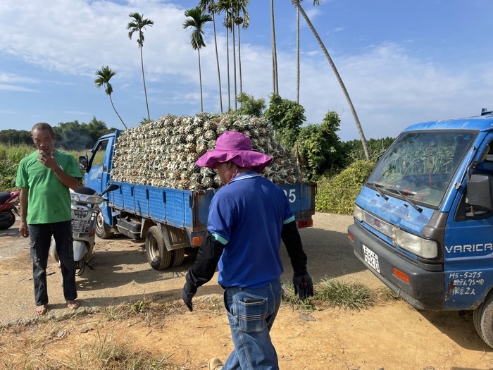 917ad9f249fef29e4d5bc19b8d34d62c