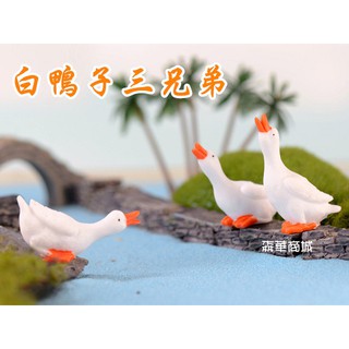 森華商城➜◊微景觀裝飾◊禽鳥【白鴨子三兄弟(三個/組)】(單/個)不挑款苔蘚微景觀/多肉植物/盆栽裝飾