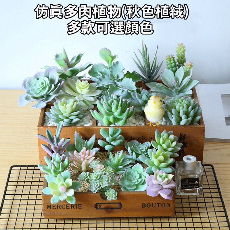 現貨多種類微型多肉盆栽仿真植物小盆栽桌面擺設造景假花辦公室裝扮假花韓版森系多色多款式仿真多肉質感多色