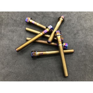 ⭕️現貨24H內出貨免等⭕️ POSH 內外六角 白鐵鍍鈦 螺絲 8X65