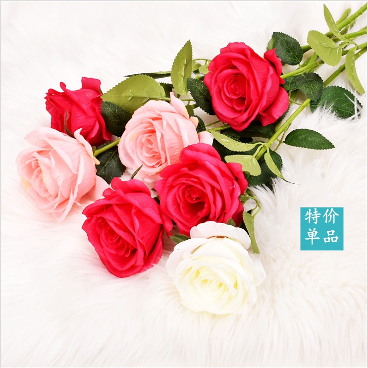 龜山花店 優惠推薦 21年4月 蝦皮購物台灣