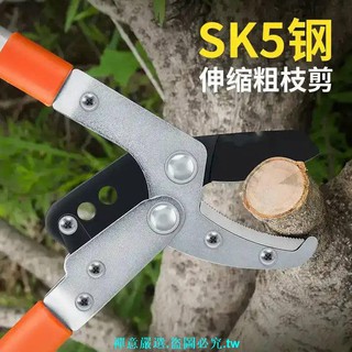 修樹枝剪刀粗枝伸縮園藝剪刀多功能園林剪刀果樹園林粗枝剪高空