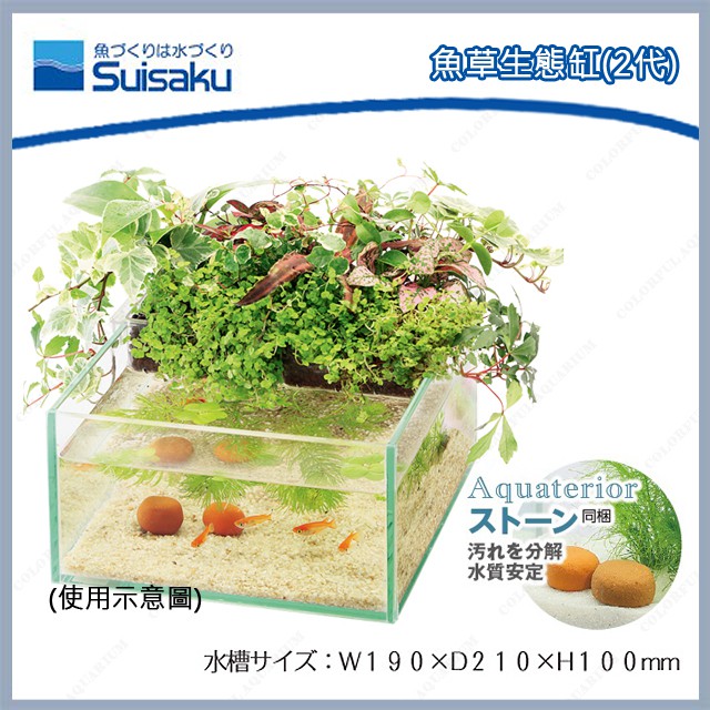 多彩雲水族 Suisaku水作 2代魚草生態缸 精巧簡單生態缸 居家美學新質感 類魚菜共生概念魚缸 蝦皮購物