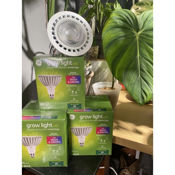 植物燈 GE Grow Light 32瓦 全光譜植物生長燈 觀葉植物 白光
