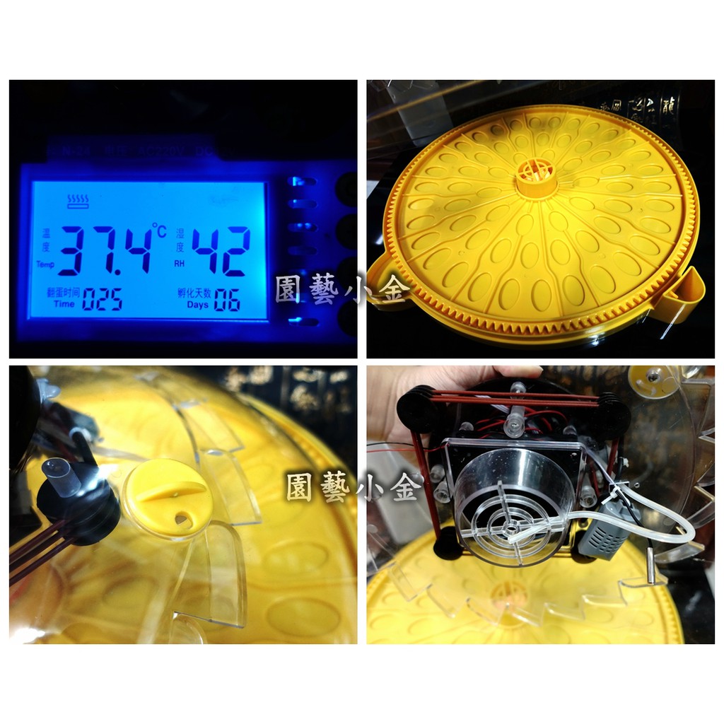 台灣鸚鵡雞鴨鳥鵝鵪鶉110v 12v 孵蛋機孵蛋器孵化器孵蛋英國電孵brinsea 韓國 蝦皮購物