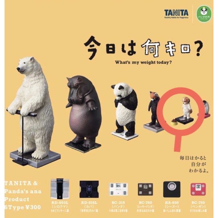 站上TANITA體重計的動物 扭蛋 量體重 狗狗🐶 熊貓之穴
