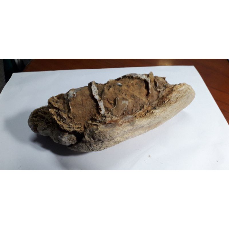 風化石，約970克，置於地下室