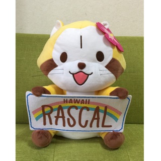 日本景品 全新 正版 日版 日本娃娃機 世界名著劇場 小浣熊 拉斯卡爾 Rascal 玩偶 娃娃