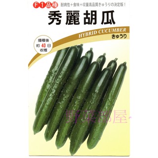 【萌田種子~】K56 秀麗小黃瓜種子3.5公克 (約122粒) 抗病性高 品質好~