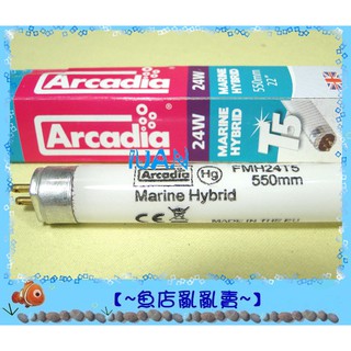 【~魚店亂亂賣~】英國Arcadia阿卡迪亞燈管T5 新超亮海水鹵素燈管(淡藍色) 24W