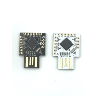 Beetle Leonardo USB ATMEGA32U4 迷你型開發板
