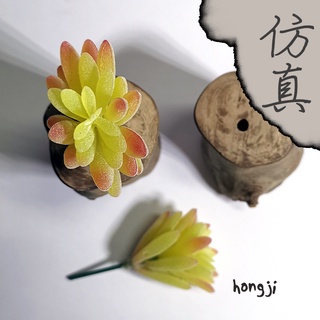 肉 模擬多肉 微景觀 P20 假多肉植物 辦公室小物 療癒紓壓生日禮物拍照居家裝飾咖啡屋商店擺飾迷你木頭底座盆栽
