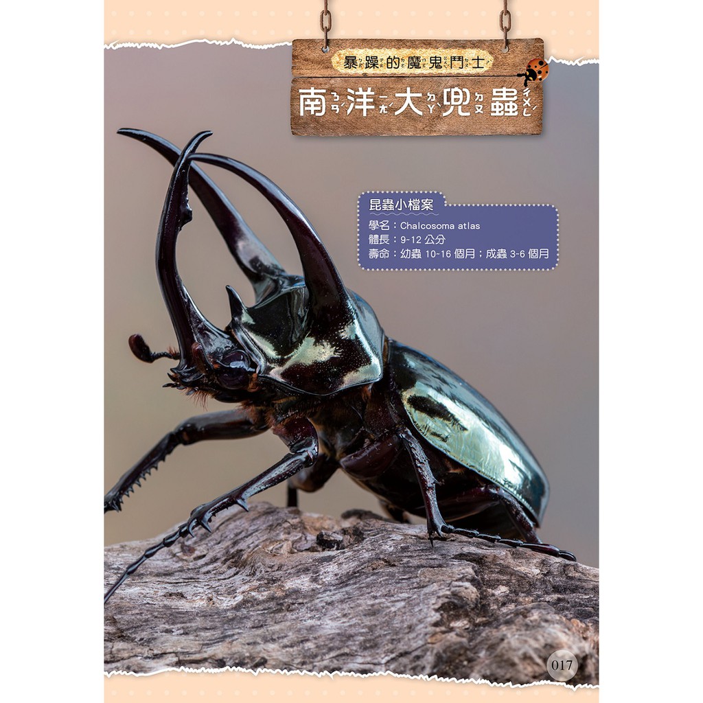 世界甲蟲圖鑑小百科 鞘翅目 蝦皮購物