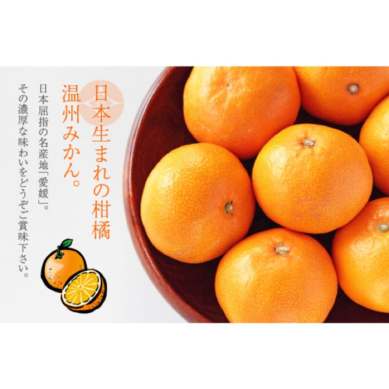 ［吉田果園］日本🇯🇵空運進口「溫室小蜜柑」禮盒*12入裝🎁