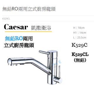 🔸HG水電🔸 Caesar 凱撒 無鉛RO兩用立式廚房龍頭 K529C K529CL