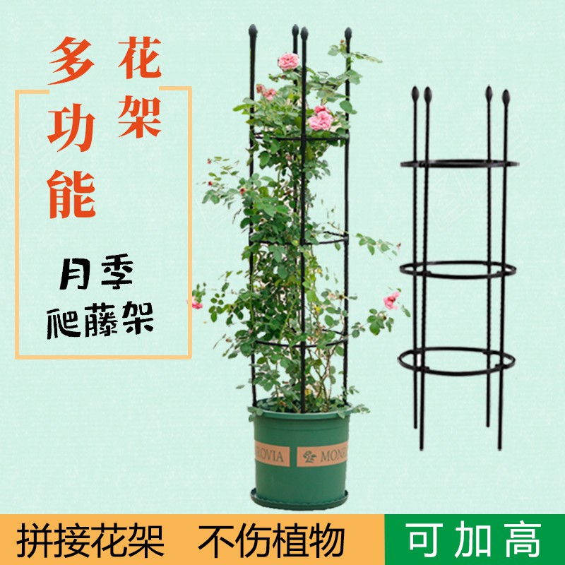 月季花支架包塑钢管园艺支柱蔷薇铁线莲户外爬藤花架阳台支撑架子 蝦皮購物