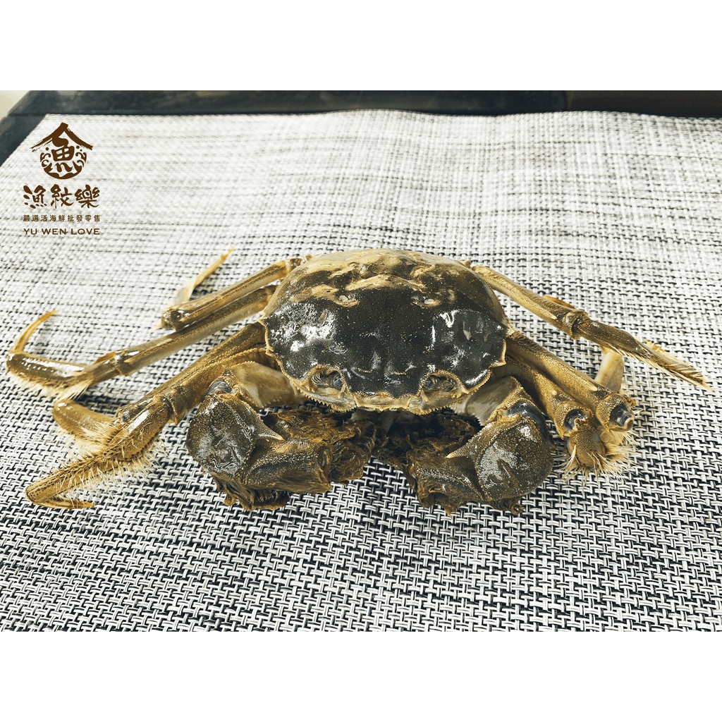 漁紋樂 活體大閘蟹 級 A級 B級 C級 蝦皮購物