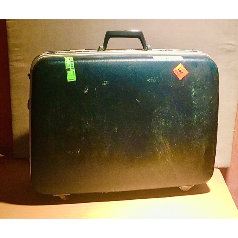 Echolac 大型 湖水藍 硬殼 手提箱 行李箱 旅行箱 提箱 愛可樂