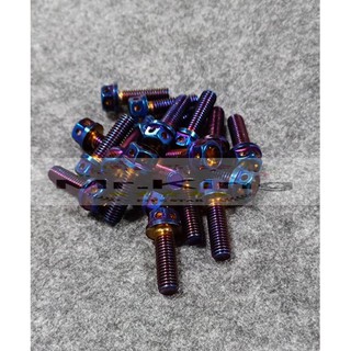 Queens M8X25 鍍鈦 燒鈦 螺絲 卡鉗螺絲 後扶手螺絲 鍍鈦螺絲