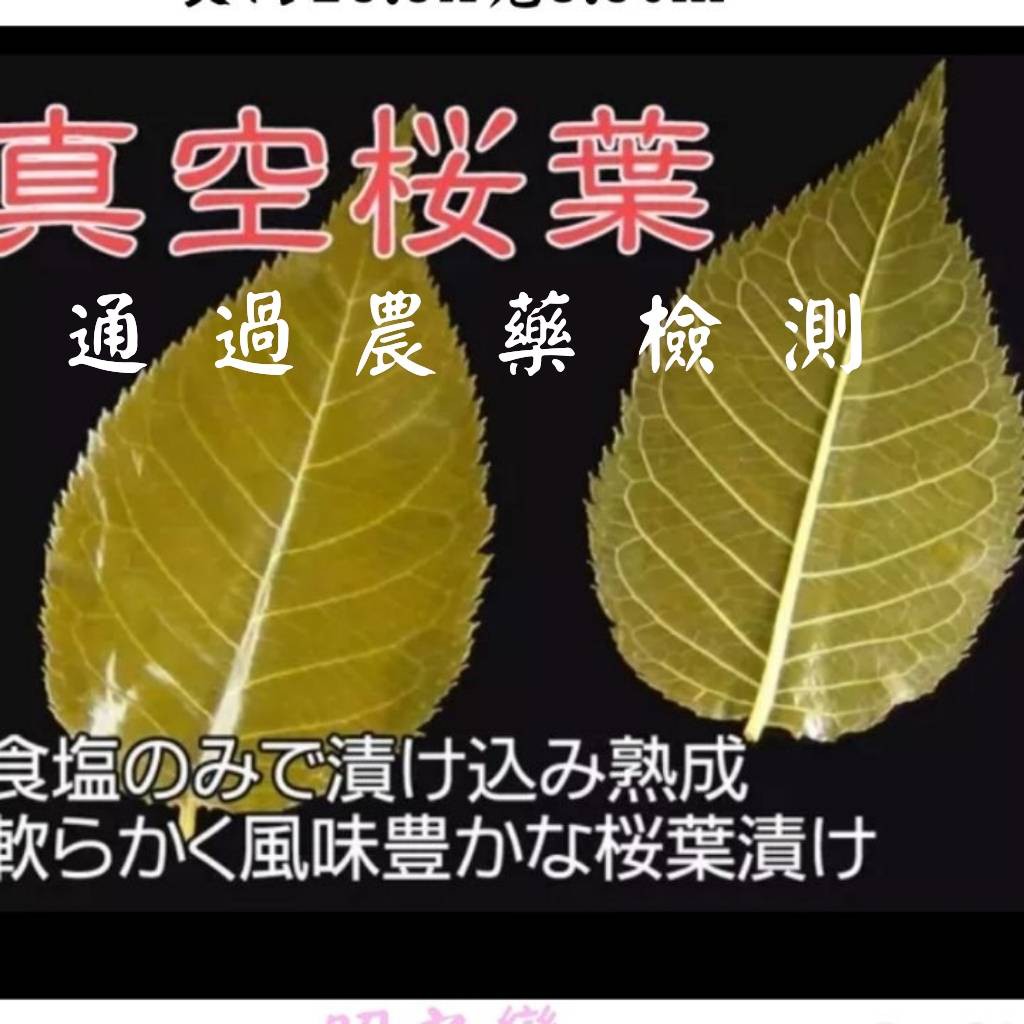 櫻花葉，鹽漬櫻花葉$185/50入-通過農藥檢測。日本鹽漬櫻花葉，清洗海鹽後用餐巾紙擦乾