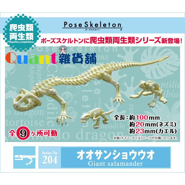 ∮Quant雜貨舖∮┌日本盒玩┐RE-MENT 骷髏 Skeleton 兩棲爬蟲類 NO.204 娃娃魚 青蛙 老鼠