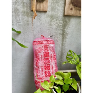 信全萬鍋粉絲 🌟冬粉🌟 粉絲５００ｇ