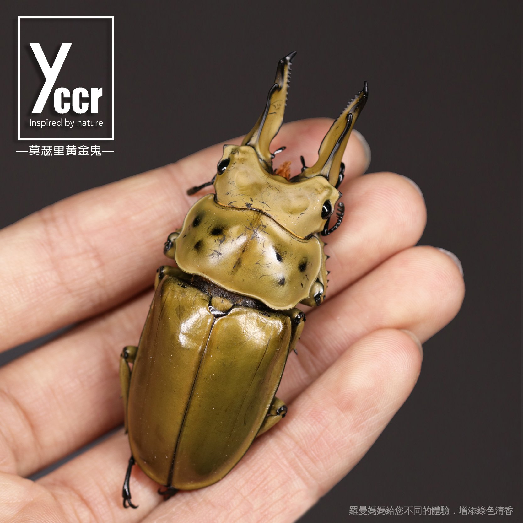 黃金鬼鍬 拍賣 評價與ptt熱推商品 21年5月 飛比價格