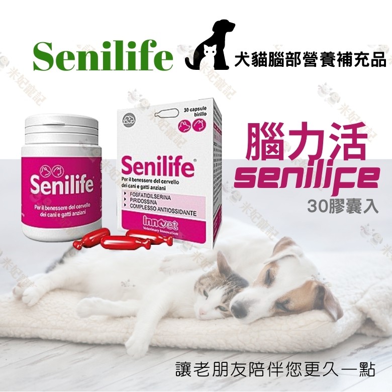 米妃寵記 公司貨開立電子發票 Senilife 腦力活老犬腦部營養補充劑30顆膠囊犬貓腦部營養品同腦活素