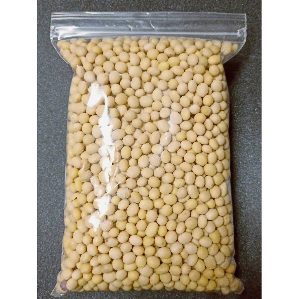 【超取限8包】600g加拿大DG非基改黃豆  Non GMO soybean