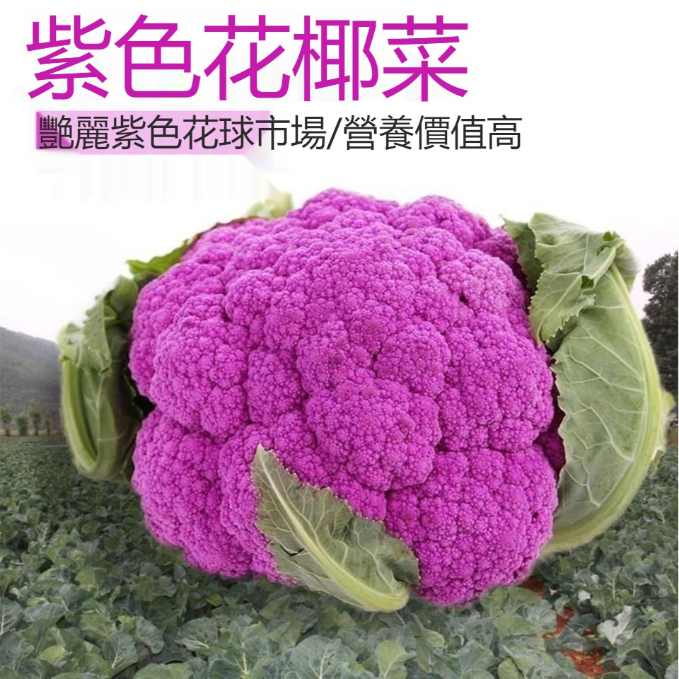 紫色花椰菜 優惠推薦 21年10月 蝦皮購物台灣