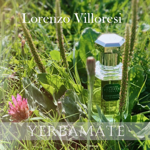 羅倫佐威勞瑞希  瑪黛茶  Lorenzo Villoresi Yerbamate